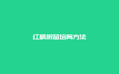 红枫树苗培育方法