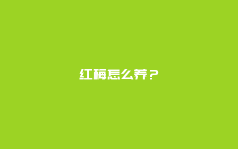 红梅怎么养？