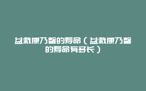 盆栽康乃馨的寿命（盆栽康乃馨的寿命有多长）