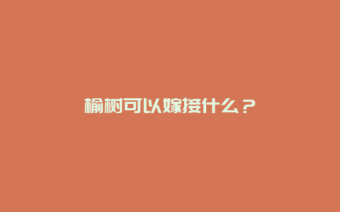 榆树可以嫁接什么？