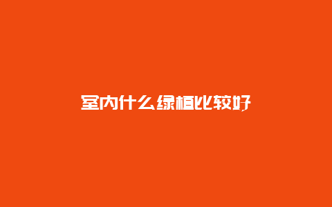 室内什么绿植比较好