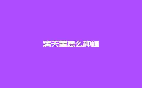 满天星怎么种植