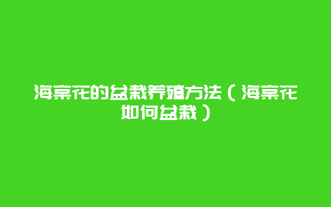 海棠花的盆栽养殖方法（海棠花如何盆栽）