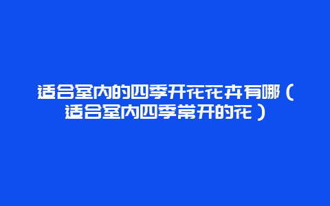 适合室内的四季开花花卉有哪（适合室内四季常开的花）