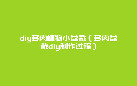 diy多肉植物小盆栽（多肉盆栽diy制作过程）