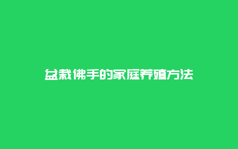 盆栽佛手的家庭养殖方法