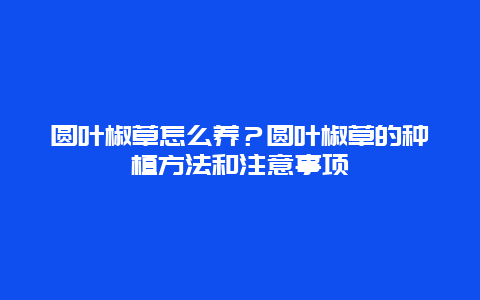 圆叶椒草怎么养？圆叶椒草的种植方法和注意事项