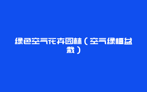 绿色空气花卉园林（空气绿植盆栽）