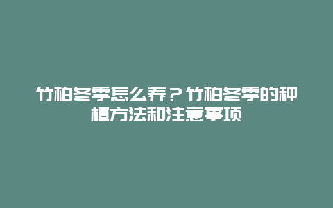 竹柏冬季怎么养？竹柏冬季的种植方法和注意事项