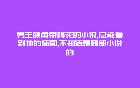 男主额角带梅花的小说,总能看到他的插图,不知道是哪部小说的