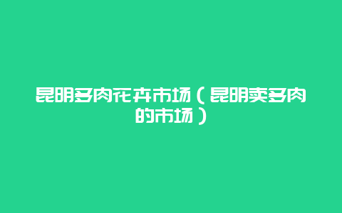 昆明多肉花卉市场（昆明卖多肉的市场）