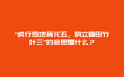 “虎行雪地梅花五，鹤立霜田竹叶三”的意思是什么？