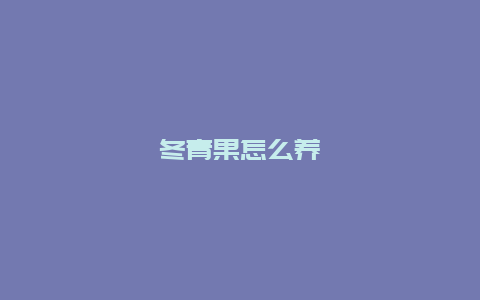 冬青果怎么养