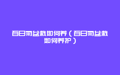 百日菊盆栽如何养（百日菊盆栽如何养护）