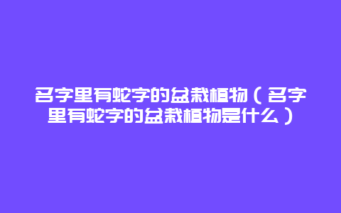 名字里有蛇字的盆栽植物（名字里有蛇字的盆栽植物是什么）