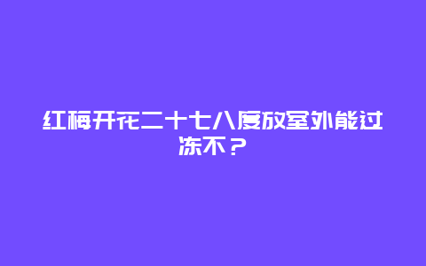 红梅开花二十七八度放室外能过冻不？