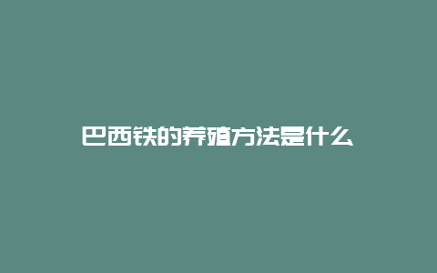 巴西铁的养殖方法是什么