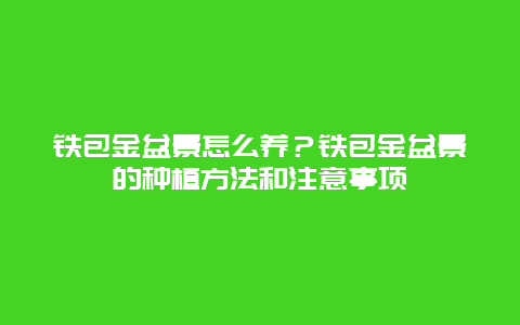 铁包金盆景怎么养？铁包金盆景的种植方法和注意事项