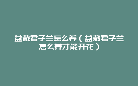 盆栽君子兰怎么养（盆栽君子兰怎么养才能开花）