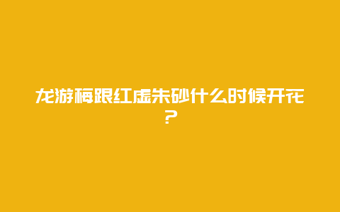 龙游梅跟红虚朱砂什么时候开花？