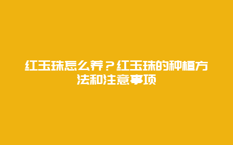 红玉珠怎么养？红玉珠的种植方法和注意事项