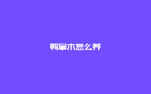 鸭掌木怎么养