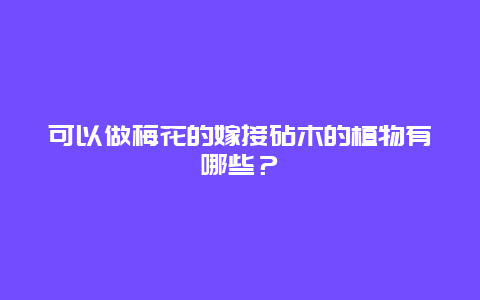 可以做梅花的嫁接砧木的植物有哪些？