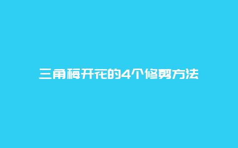 三角梅开花的4个修剪方法