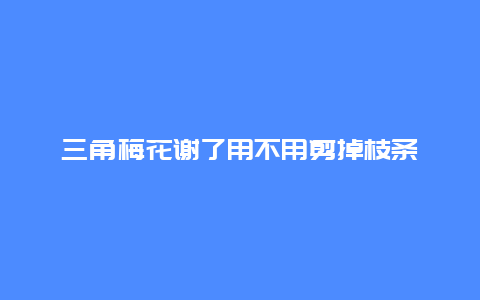 三角梅花谢了用不用剪掉枝条