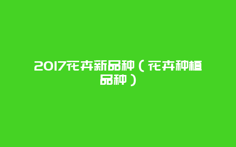 2017花卉新品种（花卉种植品种）