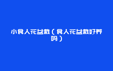 小食人花盆栽（食人花盆栽好养吗）