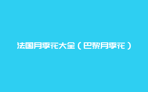 法国月季花大全（巴黎月季花）