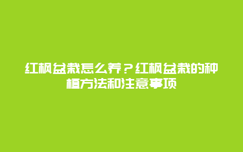 红枫盆栽怎么养？红枫盆栽的种植方法和注意事项