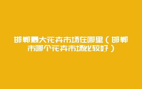 邯郸最大花卉市场在哪里（邯郸市哪个花卉市场比较好）