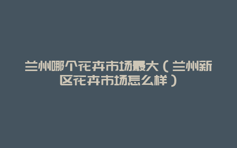 兰州哪个花卉市场最大（兰州新区花卉市场怎么样）