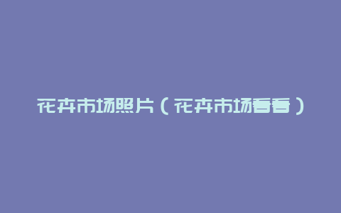 花卉市场照片（花卉市场看看）