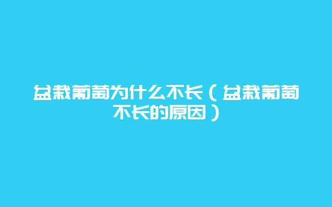 盆栽葡萄为什么不长（盆栽葡萄不长的原因）