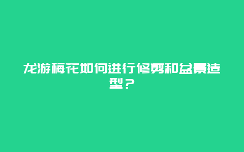 龙游梅花如何进行修剪和盆景造型？