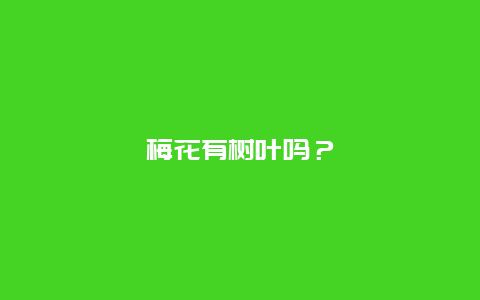 梅花有树叶吗？