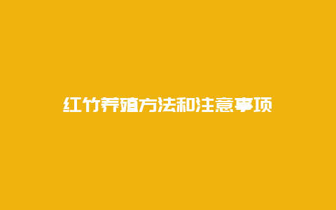 红竹养殖方法和注意事项