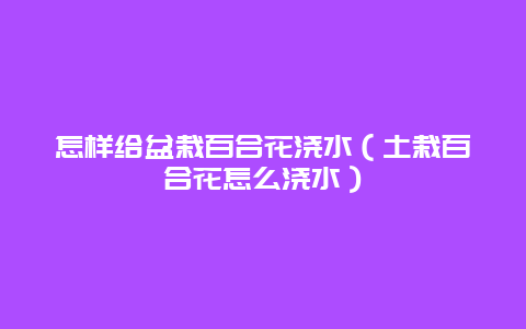 怎样给盆栽百合花浇水（土栽百合花怎么浇水）