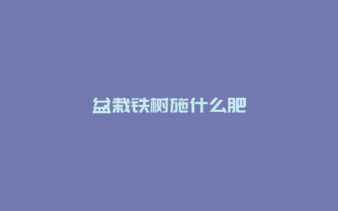 盆栽铁树施什么肥