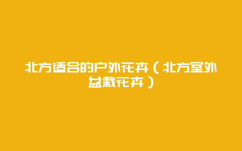 北方适合的户外花卉（北方室外盆栽花卉）