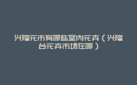 兴隆花市有哪些室内花卉（兴隆台花卉市场在哪）