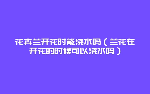 花卉兰开花时能浇水吗（兰花在开花的时候可以浇水吗）