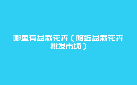 哪里有盆栽花卉（附近盆栽花卉批发市场）