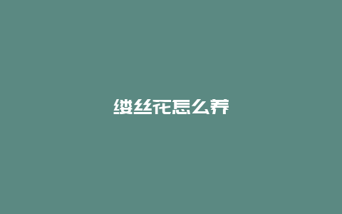 缕丝花怎么养