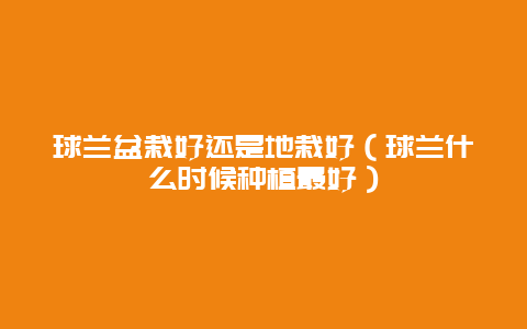 球兰盆栽好还是地栽好（球兰什么时候种植最好）