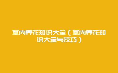 室内养花知识大全（室内养花知识大全与技巧）