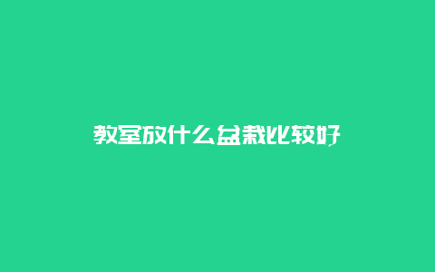 教室放什么盆栽比较好